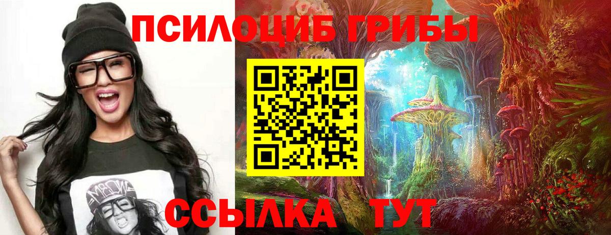 Галлюциногенные грибы прущие грибы  Галлюциногенные грибы мицелий  Вход с VPN  Рузаевка 